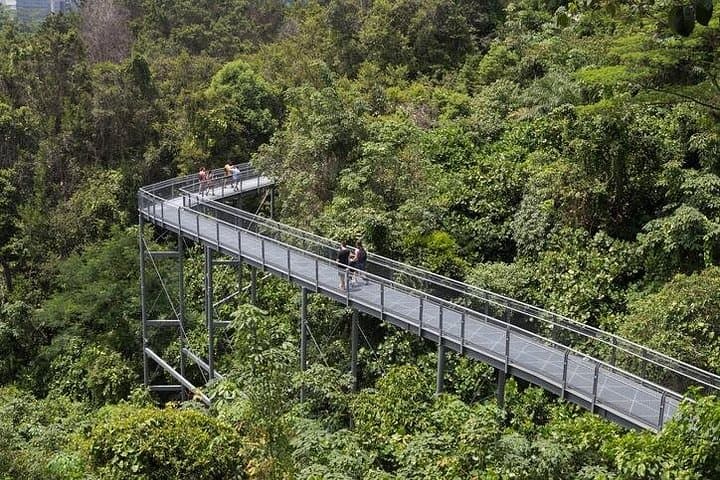 Tamborine-Mountain-Skywalk-and-Glow-Worm-Cave-Day-Tour-from-Brisbane photo 3