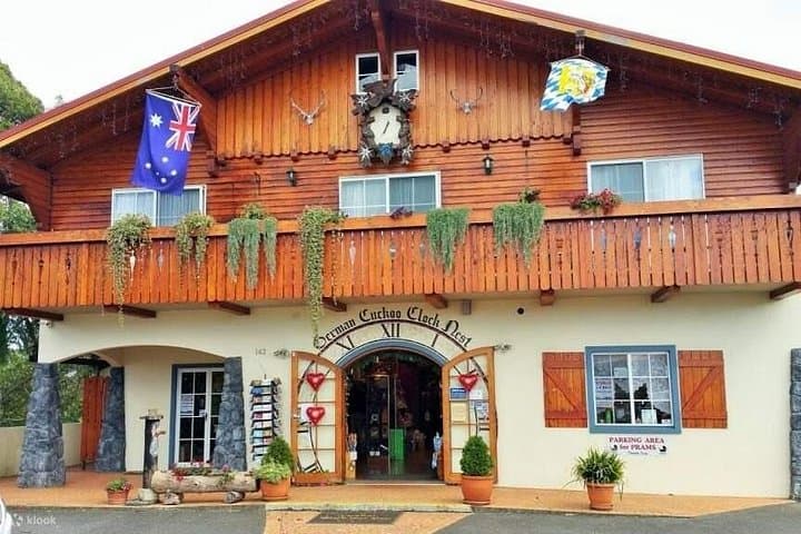 Tamborine-Mountain-Skywalk-and-Glow-Worm-Cave-Day-Tour-from-Brisbane photo 5