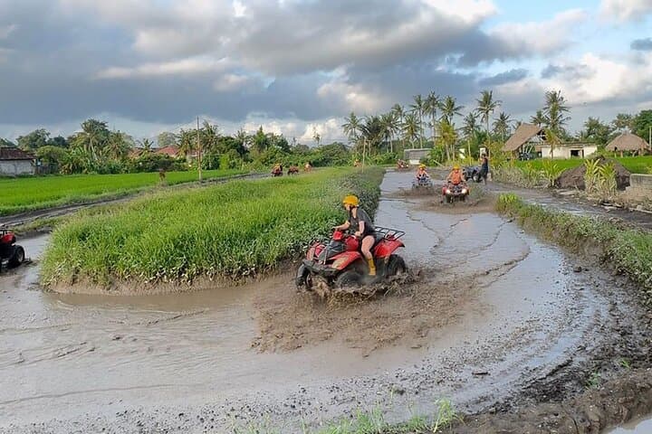 Ubud ATV Quad Bike Adventure: Off-Road Tracks Through Rice Fields & Forests photo 4