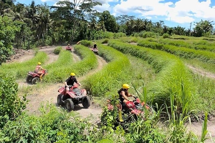 Ubud ATV Quad Bike Adventure: Off-Road Tracks Through Rice Fields & Forests photo 5