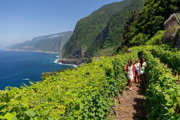 Madeira 6-Hour Private Port-to-City Tour — Paul da Serra, Cabo Girão & Porto Moniz photo 5