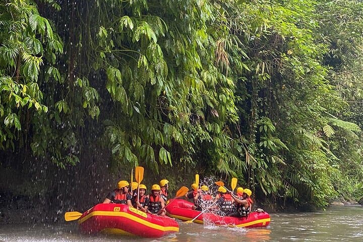 Ayung River Rafting: Ubud's Ultimate 2-Hour Rafting Challenge photo 3