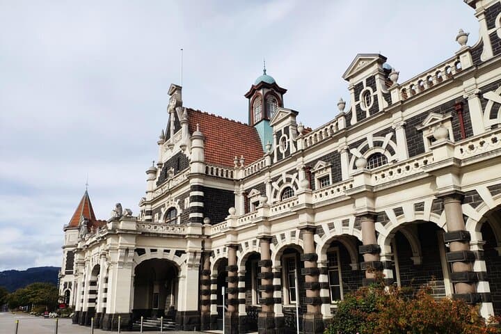 Dunedin City and Coastal Views — 3-Hour Small-Group Guided Tour