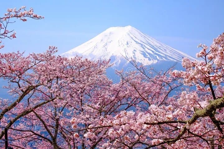 Mount Fuji Day Tour — Hakone, Fuji Five Lakes, Chureito Pagoda & Stupa photo 3