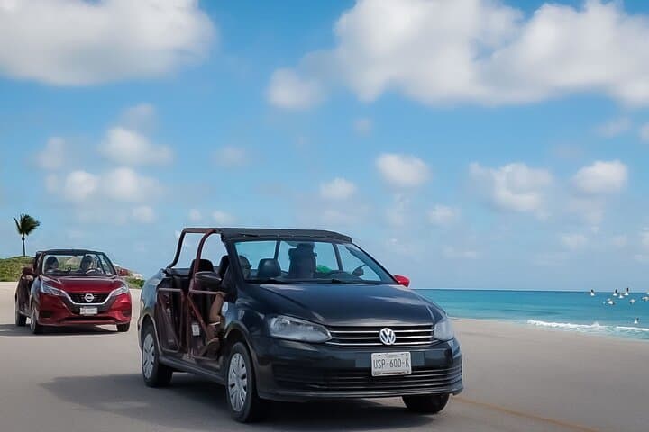 Cozumel Buggy Tour to San Gervasio Ruins and Beach Club photo 4