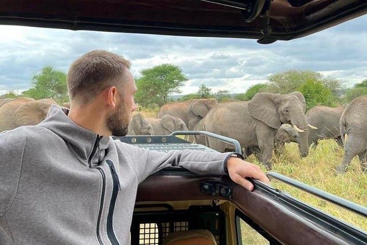 2-Day Tarangire and Ngorongoro Fly-In Safari from Zanzibar photo 1
