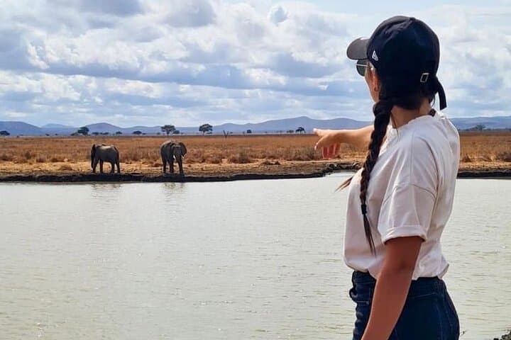 2-Day Tarangire and Ngorongoro Fly-In Safari from Zanzibar photo 4