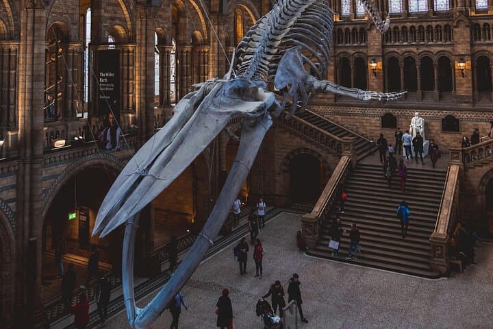 Private Guided Tour of London’s Natural History Museum — Top Exhibits, Tips & What to Expect photo 3
