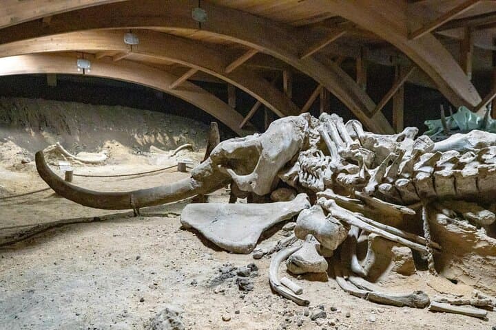 Private Guided Tour of London’s Natural History Museum — Top Exhibits, Tips & What to Expect photo 5
