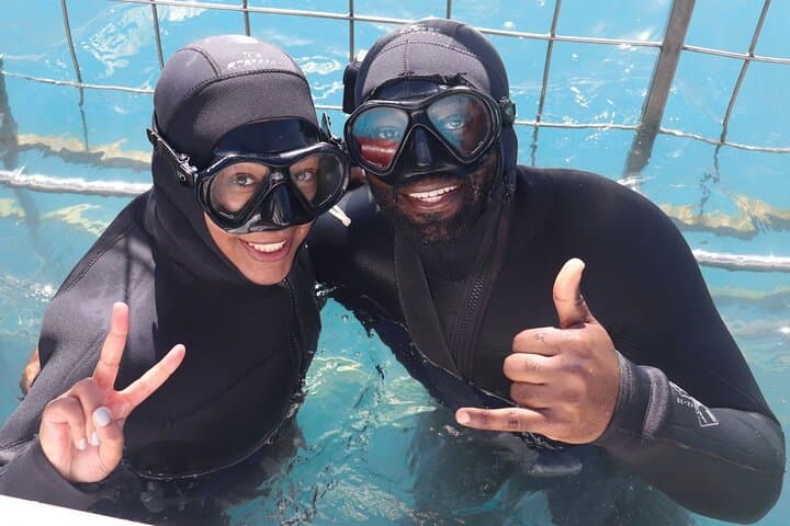 Shark Cage Diving in Gansbaai: Cage Encounters off Kleinbaai photo 3