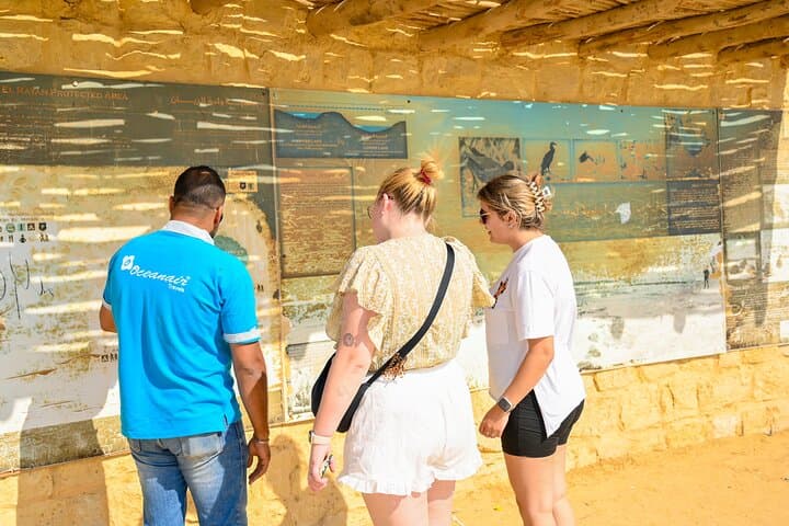 Wadi El Rayan Desert Safari: 4x4 Dunes, Camel Ride & Magic Lake from Cairo photo 6