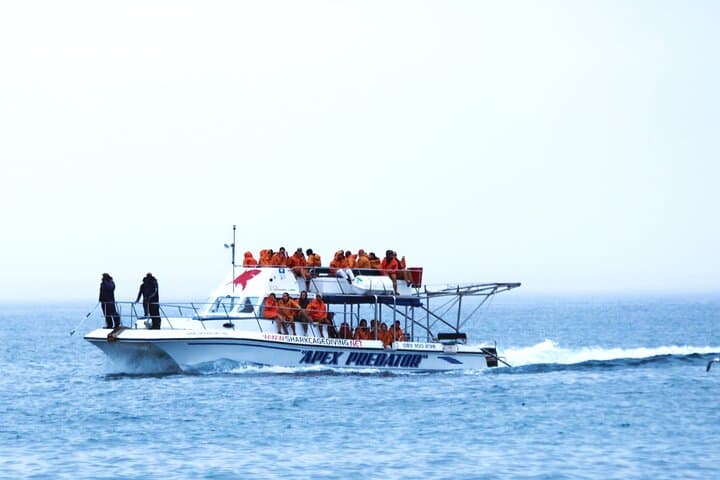 Shark Cage Diving from Cape Town — Gansbaai Great White Encounters photo 3