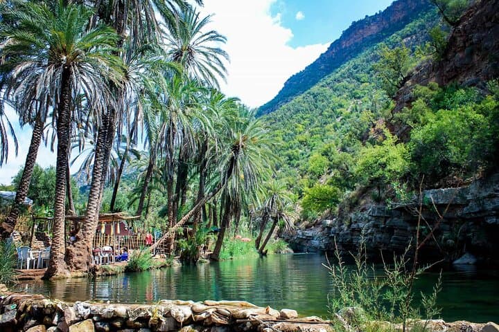 Paradise Valley Half-Day from Agadir: Canyon Pools, Argan Groves & Short Hikes photo 3