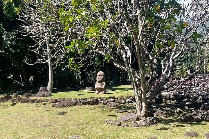 Tahiti West Coast Private 4-Hour Cultural Tour with Lydia photo 2