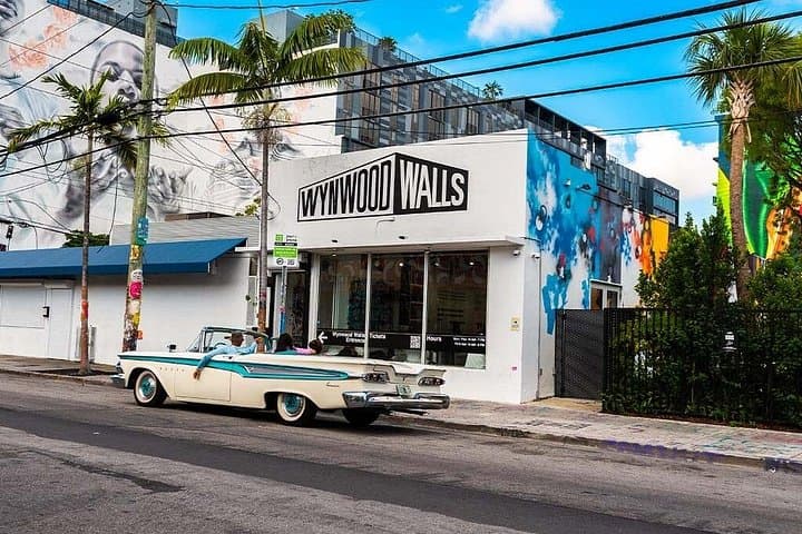 Wynwood Walls Admission & Guided Neighborhood Buggy Tour in Miami photo 3