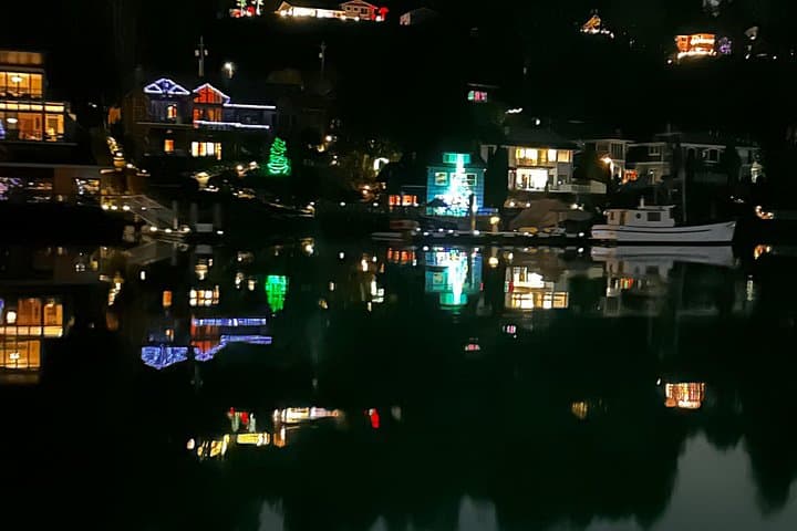 Gig Harbor Lighted Christmas Boat Cruise — Private 90-Min Holiday Harbor Tour photo 4