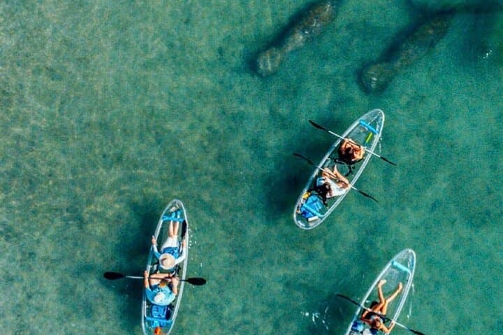 Clear Kayak Guided Tour to Peanut Island from Palm Beach