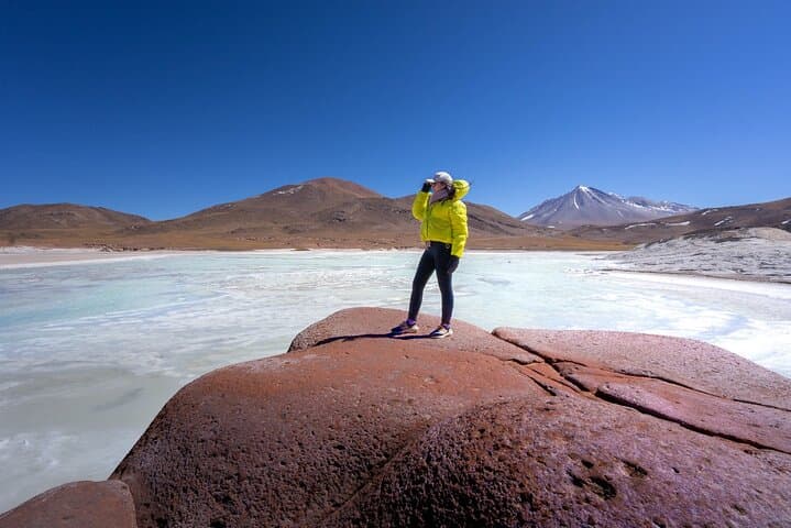 Full-Day Altiplanic Lagoons, Piedras Rojas & Chaxa Lagoon from San Pedro de Atacama photo 1