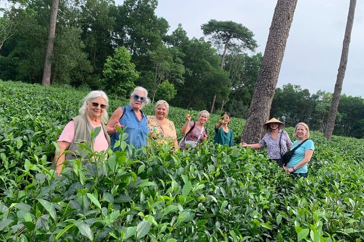 Bavi Eco Tour: Village Life, Tea Harvest & Cycling from Hanoi photo 3