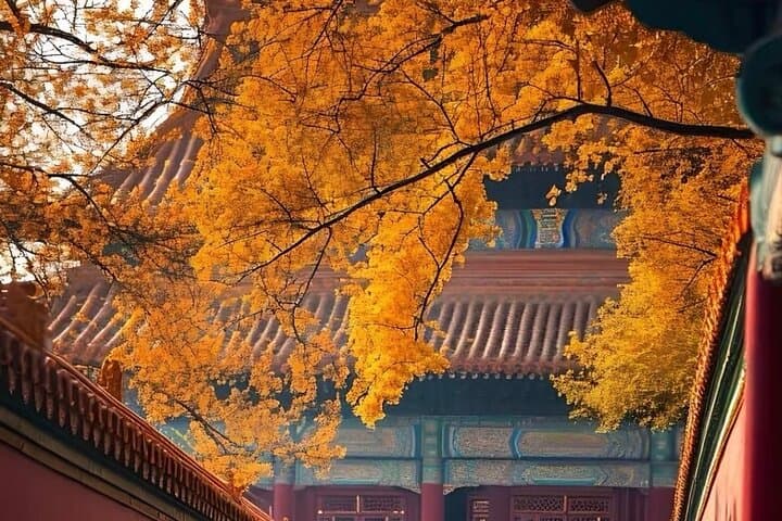 Forbidden City Private Walking Tour: Imperial Architecture, Roof Beasts & Secret Symbols photo 5