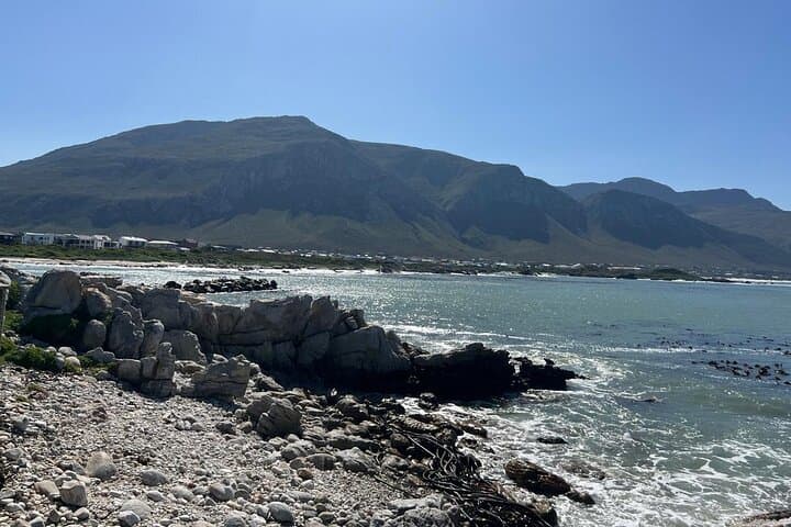 Cape Agulhas Day Trip from Cape Town: Lighthouse, Whales & Penguin Colonies photo 3