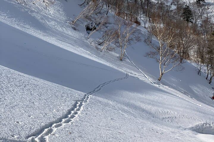 Snowshoeing Cape Shakotan: Shimamui Coast Winter Walk with Views of the Shakotan Blue Sea photo 5