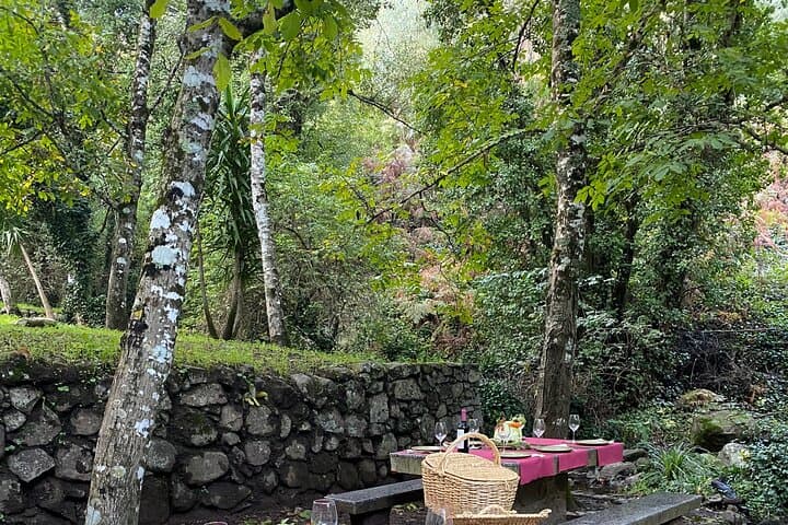 Mountain Picnic at Foia — Private Portuguese Picnic in Serra de Monchique photo 6