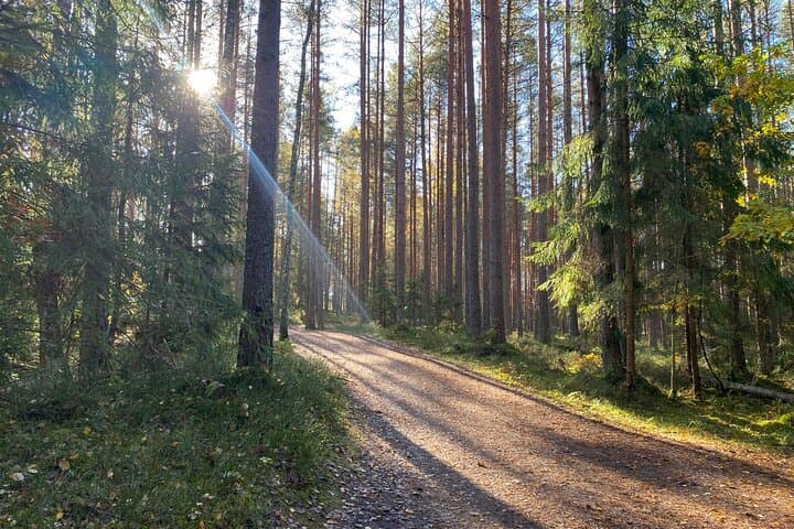 Kemeri Bog Boardwalk and Jūrmala Seaside Day Trip from Riga photo 2