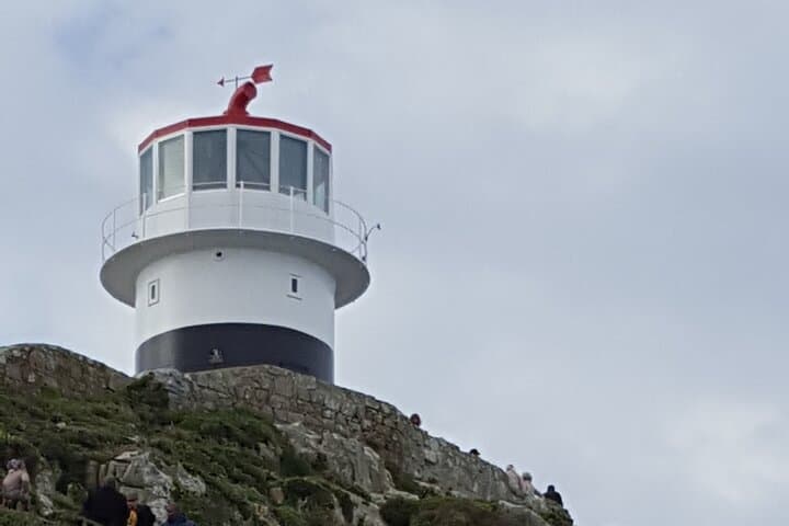 Cape of Good Hope & Boulders Beach Penguins: Full-Day Peninsula Tour from Cape Town photo 4