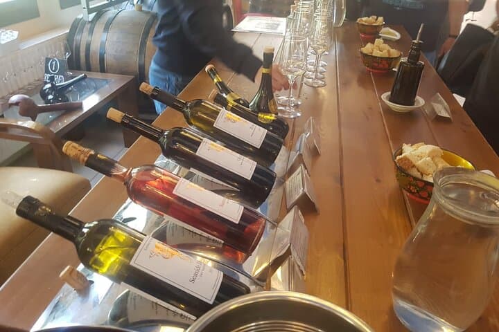 Limassol Shore Excursion: Kourion, Omodos & Troodos Wine‑Tasting Day Tour photo 5