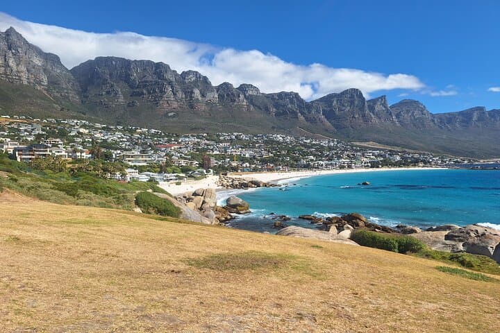 Cape of Good Hope & Boulders Beach Penguins: Full-Day Peninsula Tour from Cape Town photo 6