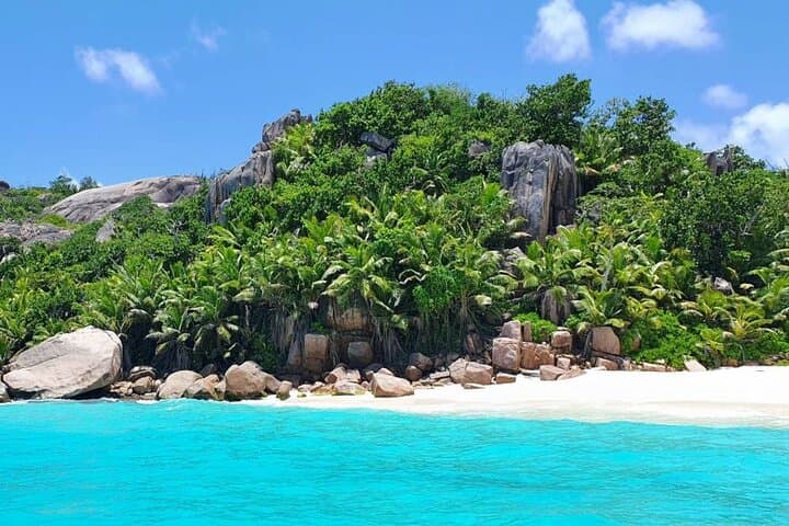 Half-Day Snorkeling: Sister, Coco & Félicité Islands (Praslin, Seychelles) photo 4