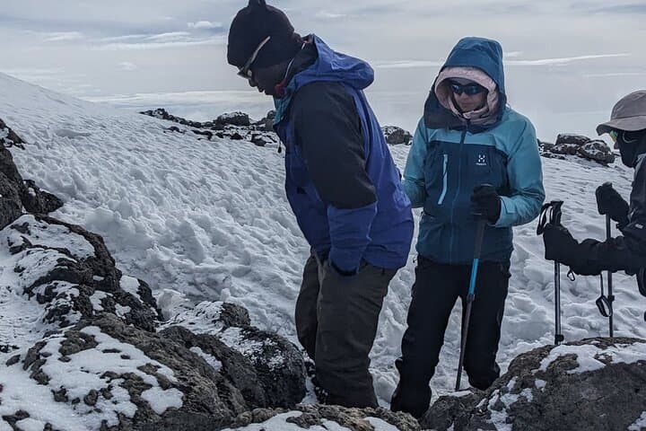 7-Day Machame Route Trek to Kilimanjaro: Summit Uhuru Peak with Expert Guides photo 5