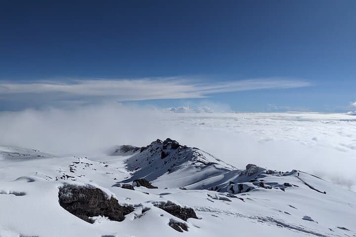 Lemosho Route Day Trip: Hike to Shira Plateau on Mount Kilimanjaro photo 2