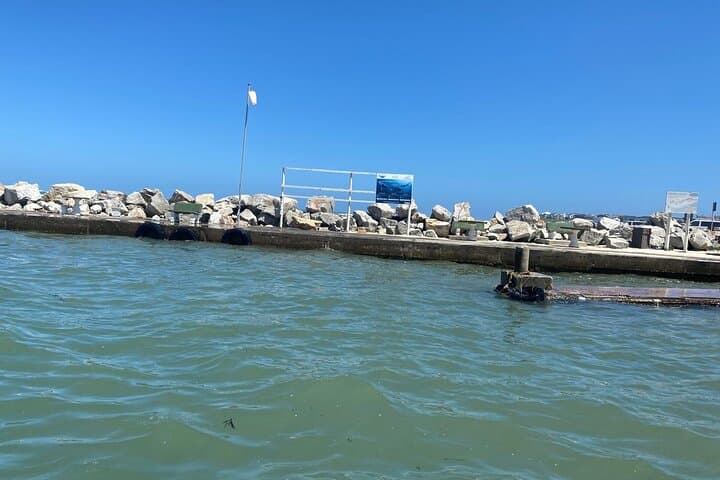 Shark Cage Diving in Gansbaai: Private Boat Access & Cage Experience photo 2