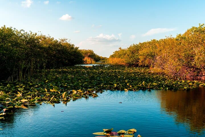 Everglades Self-Guided Driving Audio Tour: Drive the Park with GPS Narration photo 3