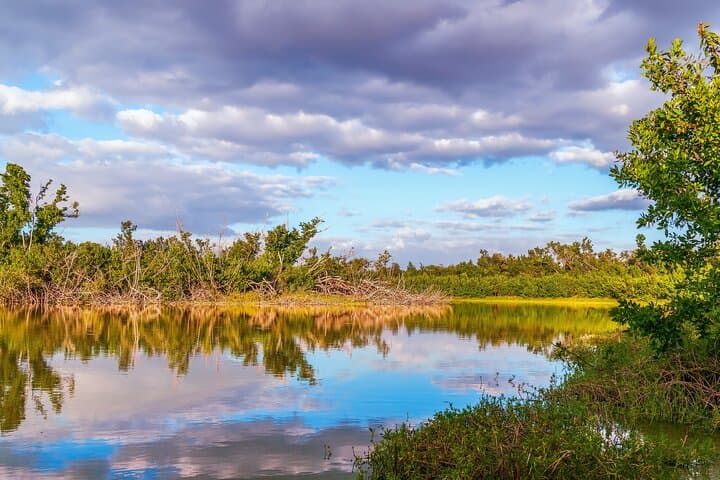 Everglades Self-Guided Driving Audio Tour: Drive the Park with GPS Narration photo 4