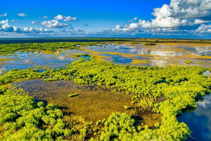 Everglades Self-Guided Driving Audio Tour: Drive the Park with GPS Narration photo 5