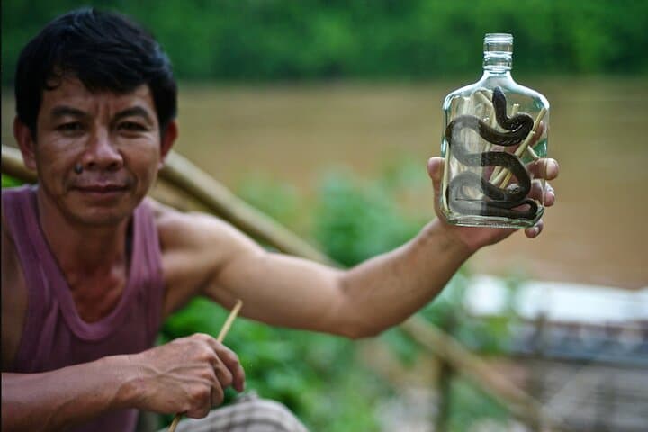 Luang Prabang Full-Day: Kuang Si Waterfall, Pak Ou Caves & Cultural Villages photo 4