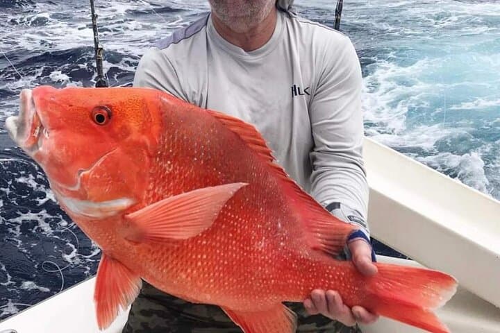 Half-Day Fishing from Praslin Island: Reel Tuna, Marlin & Archipelago Reefs photo 2