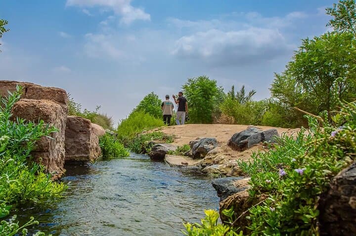 Yanbu City Tour: Explore Springs, Heritage & Red Sea Coast photo 6