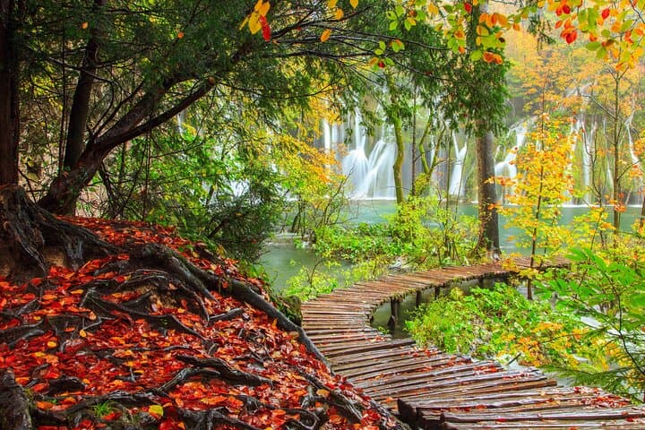 Plitvice Lakes Private Day Trip from Zadar — Turquoise Lakes & Waterfalls photo 5