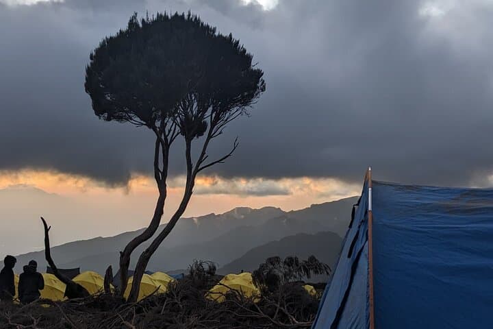 6-Day Machame Route Trek to Mount Kilimanjaro (Uhuru Peak) photo 2