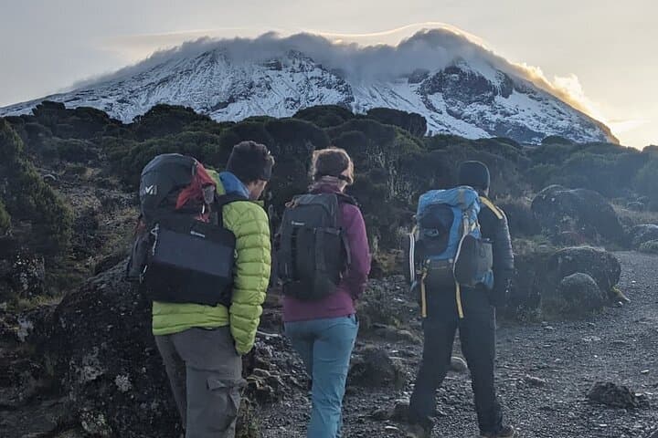 6-Day Machame Route Trek to Mount Kilimanjaro (Uhuru Peak) photo 6