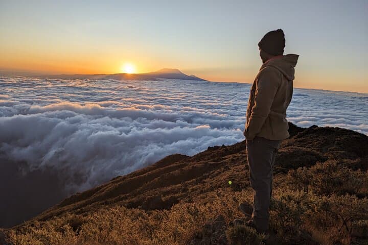 Lemosho Route Day Trip: Hike to Shira Plateau on Mount Kilimanjaro photo 3