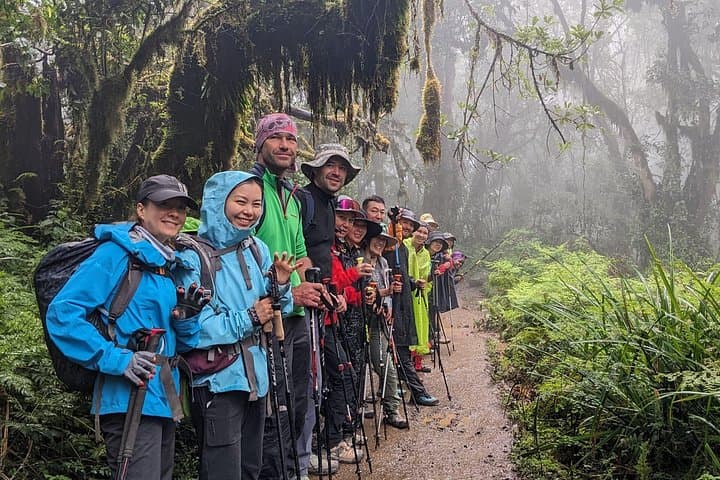 7-Day Lemosho Route Trek to Mount Kilimanjaro — Summit via Scenic Western Approach photo 2