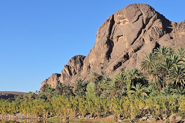 Fint Oasis & Ait Benhaddou From Marrakesh — 2-Day High Atlas Kasbah and Oasis Adventure photo 1