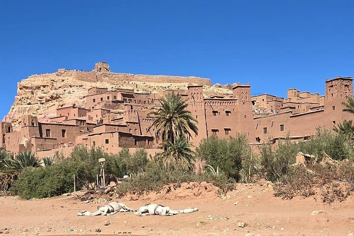 Fint Oasis & Ait Benhaddou From Marrakesh — 2-Day High Atlas Kasbah and Oasis Adventure photo 2