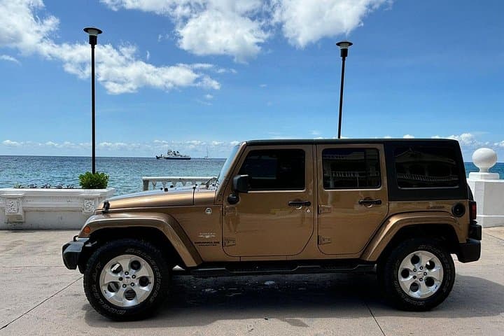 Cozumel Jeep Tour and Sky Reef Beach Snorkel — Port Day Adventure photo 3