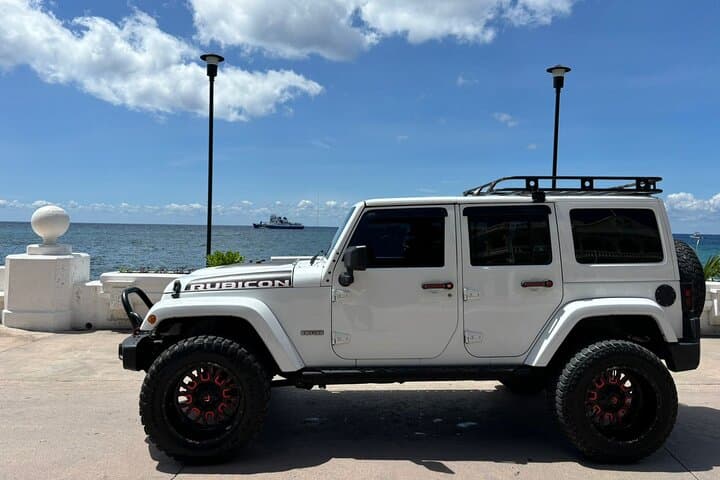 Cozumel Jeep, San Gervasio Mayan Ruins & Sky Reef Snorkel: One-Day Shore Excursion photo 3